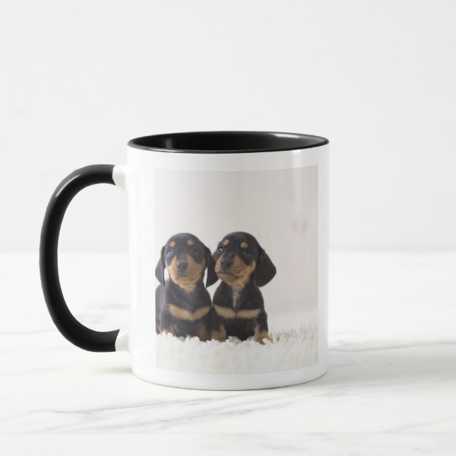 Minisitzen der Dackel-zwei Tasse (Links)