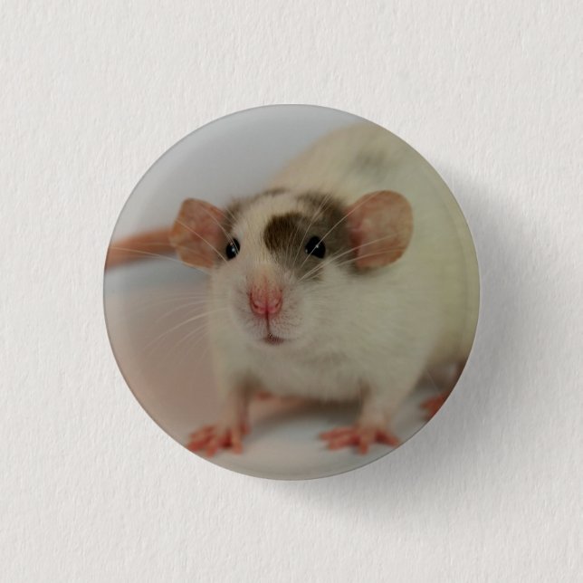 Mink dumbo Rat Button (Vorderseite)