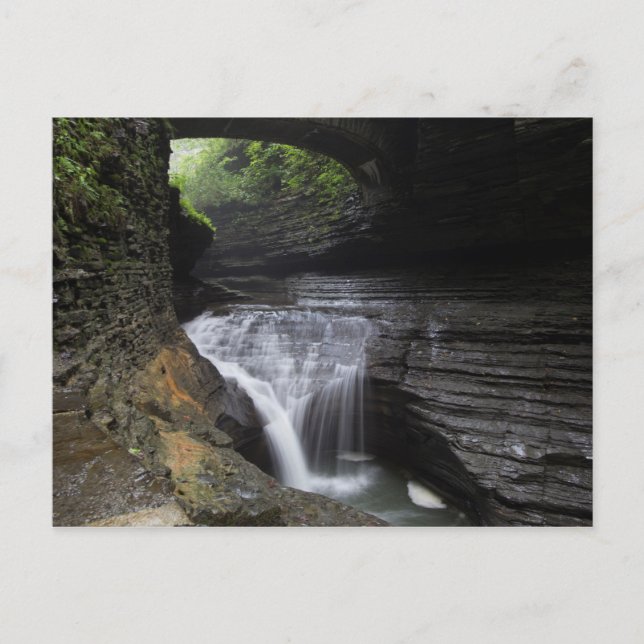 Minnehaha Falls, Watkins Glen Staat Park, New York Postkarte (Vorderseite)
