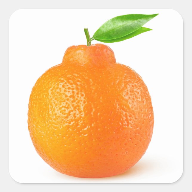 Minneola tangelo citrus frucht quadratischer aufkleber (Vorderseite)