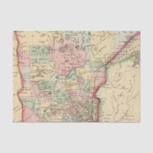 Minnesota-Karte durch Mitchell Seidenpapier