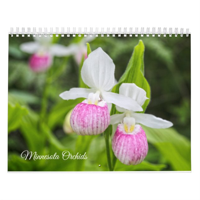 Minnesota-Orchideenkalender Kalender (Titelbild)