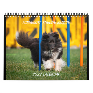 MINNESOTA SHELTIE RESCUE 2023 KALENDER