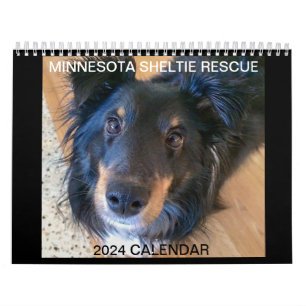 MINNESOTA SHELTIE SECOURT 2024 CALENDRIER