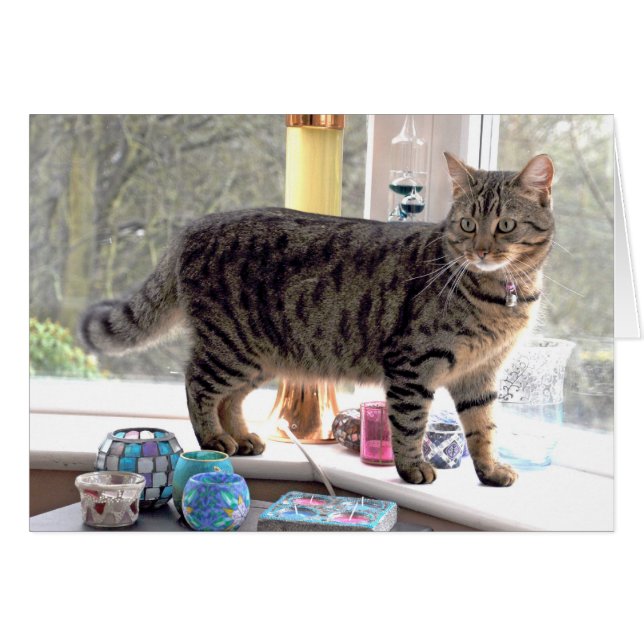 Minnie (Devant horizontal)