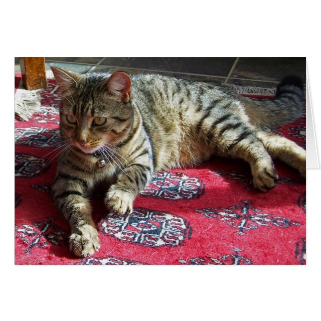 Minnie dans Sunshine2 (Devant horizontal)