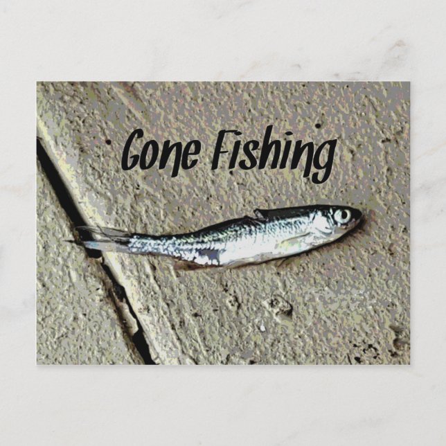 Minnow Bait "Gone Fishing" Postkarte (Vorderseite)