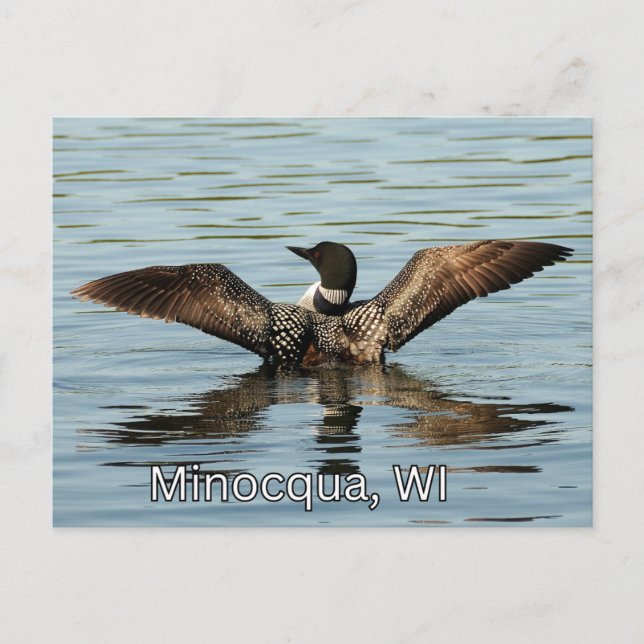 Minocqua, WI souvenir de carte postale (Devant)