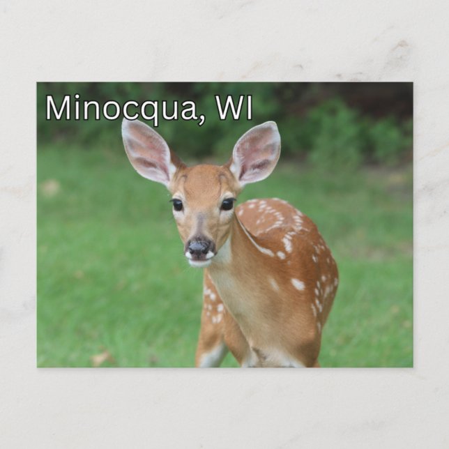 Minocqua Wisconsin Carte postale Souvenir (Devant)
