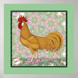 Minorca: Alte Rooster Poster