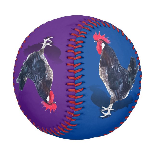 Minorca Rooster Baseball (Schrägansicht)