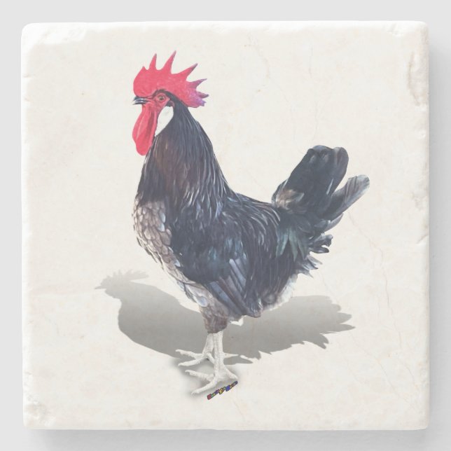 Minorca Rooster Steinuntersetzer (Vorderseite)