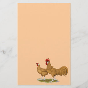 Minorcas Buff Pair Briefpapier