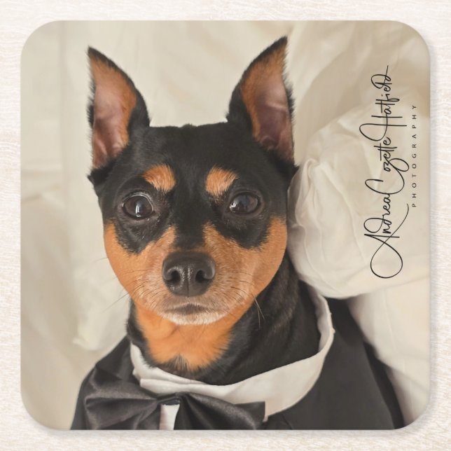 MinPin Tux Rechteckiger Pappuntersetzer (Vorderseite)