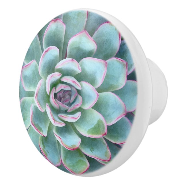 Mint Cyan Succulents Echeveria Keramikknauf (Rechts)