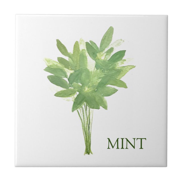Mint Herb Grüne Küche Thyme Sage Green Fliese (Vorderseite)