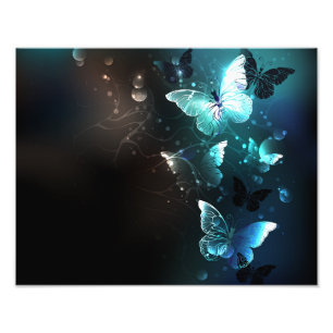 Mint-Night-Schmetterlinge Fotodruck