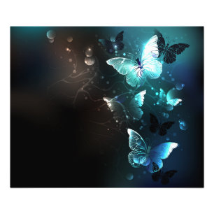 Mint-Night-Schmetterlinge Fotodruck
