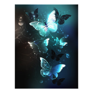 Mint-Night-Schmetterlinge Fotodruck
