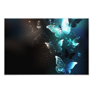 Mint-Night-Schmetterlinge Fotodruck