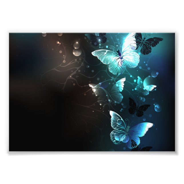 Mint-Night-Schmetterlinge Fotodruck (Vorne)