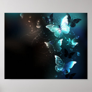 Mint-Night-Schmetterlinge Poster