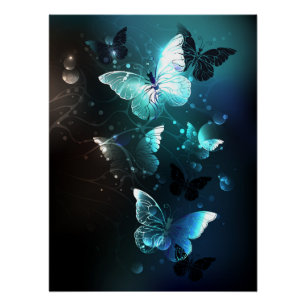 Mint-Night-Schmetterlinge Poster