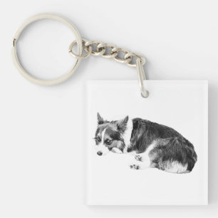 Minuscule Corgi, Carré Fidèle