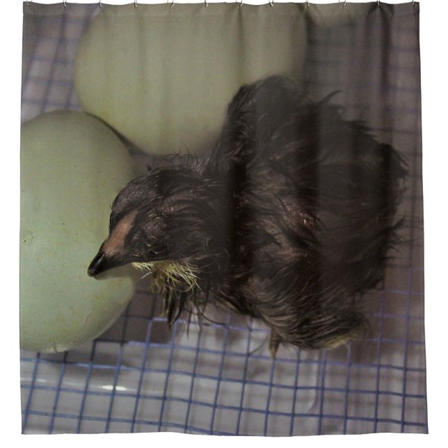 Minuten alt duschvorhang (Vorderseite)