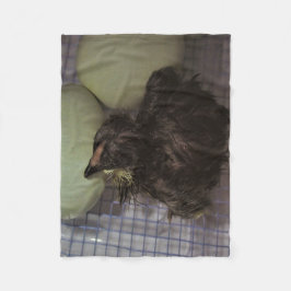 Minuten alt fleecedecke