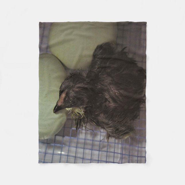 Minuten alt fleecedecke (Vorderseite)