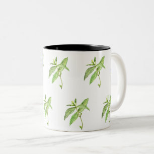 Minze Kraut botanische Pflanzen grüne Garten-Wasse Zweifarbige Tasse