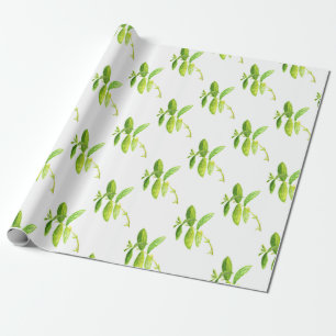 Minze Kraut Wasserfarbe Grüner Garten Küchenpflanz Geschenkpapier