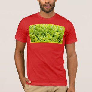 "Minze Pflanze" Niedliches Foto. Jetzt kaufen T-Shirt