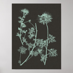 Minzen-u. Holzkohlen-Naturkunde IV Poster