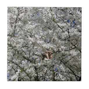 Mirabelle Blossom Keramik Tile Fliese