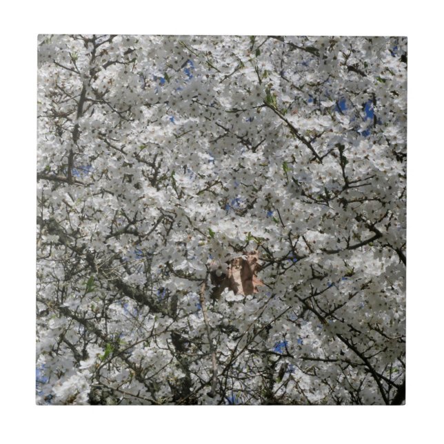 Mirabelle Blossom Keramik Tile Fliese (Vorderseite)