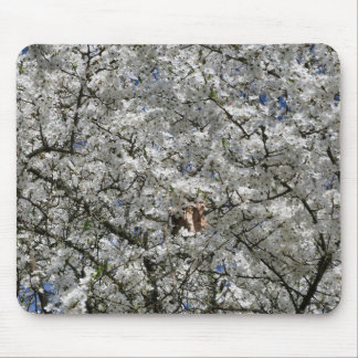 Mirabelle Blossom Mouse Mat Mousepad