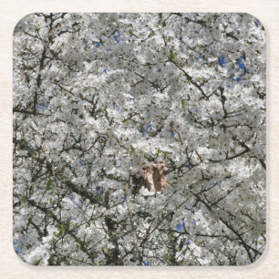 Mirabelle Blossom Paper Untersetzer
