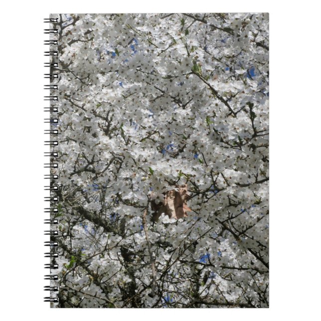 Mirabelle Blossom Spiral Notebook Notizblock (Vorderseite)