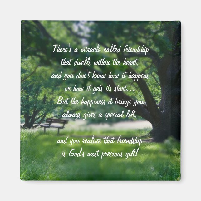 Miracle Of Friendship Poem Magnet (Devant)