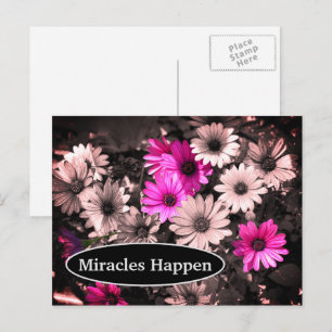 Miracles Happen Daisers Inspiration Carte Postale