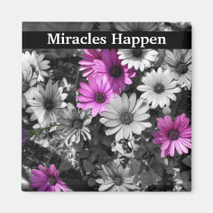 Miracles Happen Daisies Inspiration Magnet