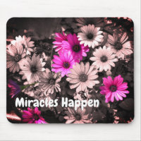 Miracles Happen Daisies Inspiration