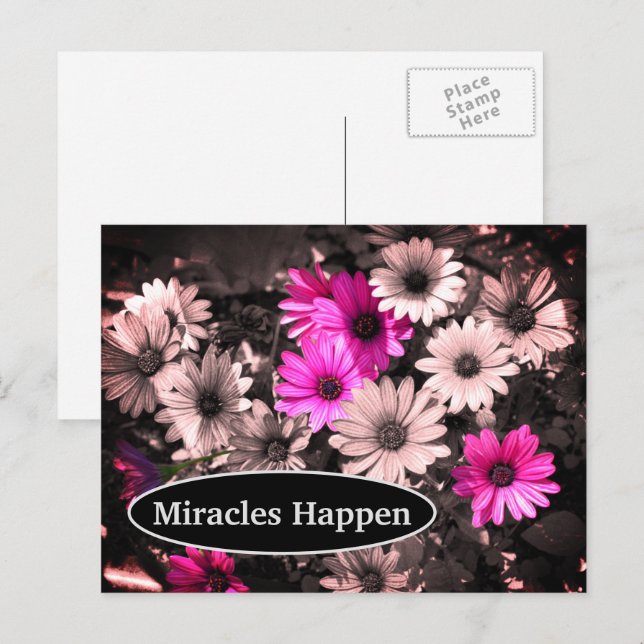Miracles Happen Daisis Inspiration Postcard Postkarte (Vorne/Hinten)