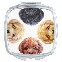 Ami de caniche de jouet