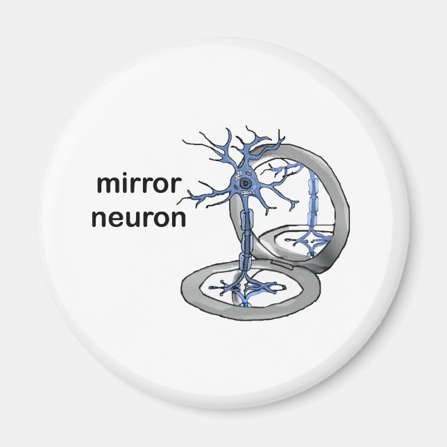 Mirror Neuron Magnet (Vorne)