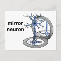 Mirror Neuron