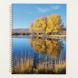 Mirror Pond Planner