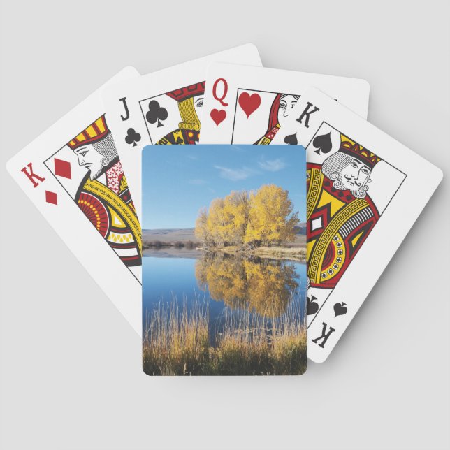 Mirror Pond Playing Cards Spielkarten (Rückseite)